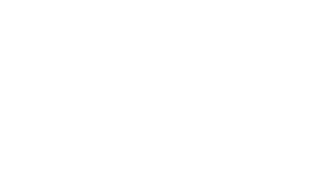 camozzi-logo-white
