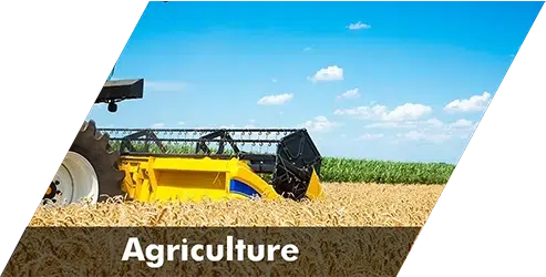 Agriculture